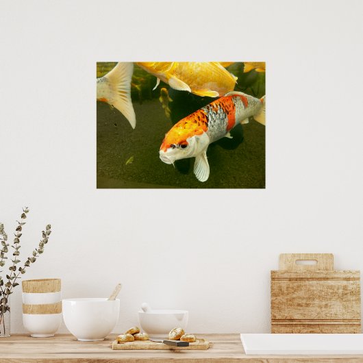 Koi Carp Poster (Keuken)
