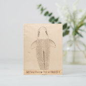  koi carp schilder oude papieren rolkunst briefkaart (Staand voorkant)