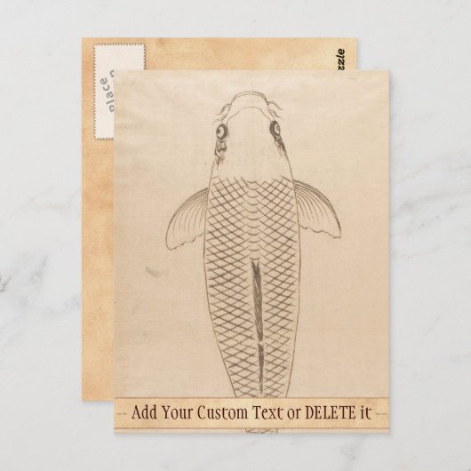  koi carp schilder oude papieren rolkunst briefkaart (Voorkant / Achterkant)