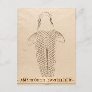  koi carp schilder oude papieren rolkunst briefkaart