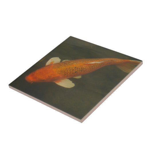 Koi Carp Tile Tegeltje (Zijkant)