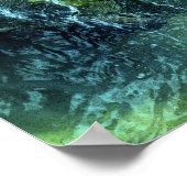 Koi Carp: Tokio, Japan Poster (Hoek)