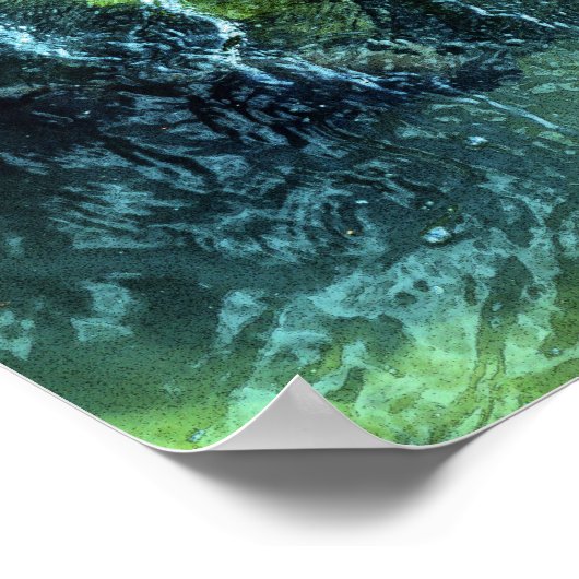 Koi Carp: Tokio, Japan Poster (Hoek)