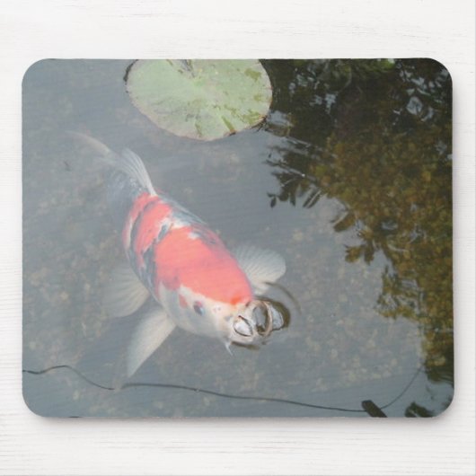 Koi Carp up Close Uitzicht Mousepad Muismat (Voorkant)