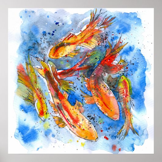 Koi Dreaming Poster (Voorkant)