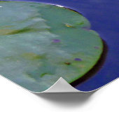 Koi en Water Lily Poster (Hoek)