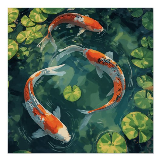KOI FISCH ANIMALS PERFECT POSTER (Voorkant)