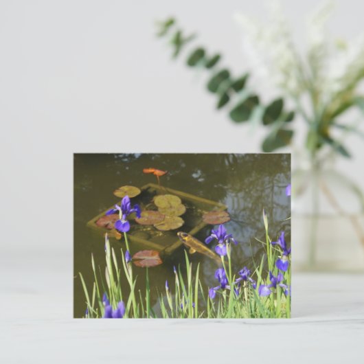 Koi Fish #4 Briefkaart (Staand voorkant)