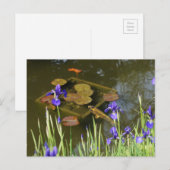 Koi Fish #4 Briefkaart (Voorkant / Achterkant)