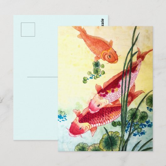 Koi Fish Briefkaart (Voorkant / Achterkant)