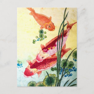 Koi Fish Briefkaart