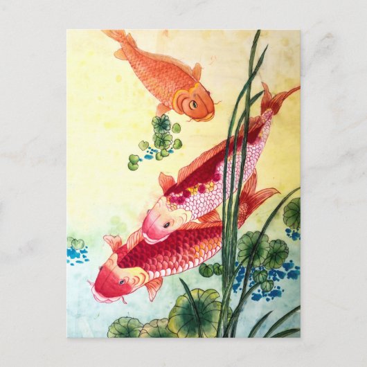 Koi Fish Briefkaart (Voorkant)