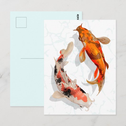 Koi Fish Briefkaart (Voorkant / Achterkant)