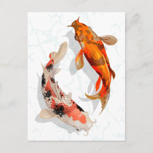 Koi Fish Briefkaart