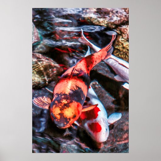 KOI FISH DUET POSTER (Voorkant)