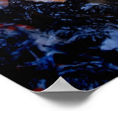 Koi Fish in een voedende frenzy, Oahu Poster (Hoek)