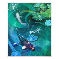 Koi Fish JOY OF KOI