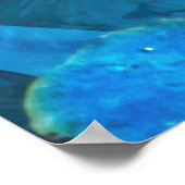 Koi Fish JOY OF KOI Poster (Hoek)