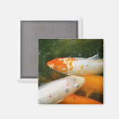 Koi Fish Magneet (Voorkant / Achterkant)