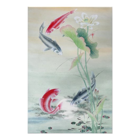 Koi Fish met Lotus Foto Afdruk (Voorkant)