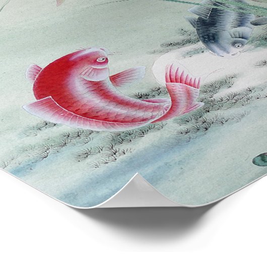 Koi Fish met Lotus Poster (Hoek)