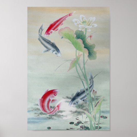 Koi Fish met Lotus Poster (Voorkant)