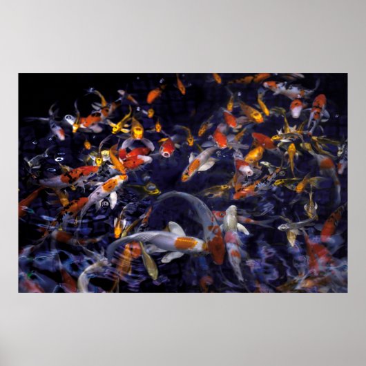 KOI FISH OVER FLOWING POSTER (Voorkant)