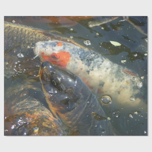 Koi Fish Pond Lake Wrapping Paper Gift Cadeaupapier (Vlak)
