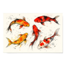 Koi Fish 