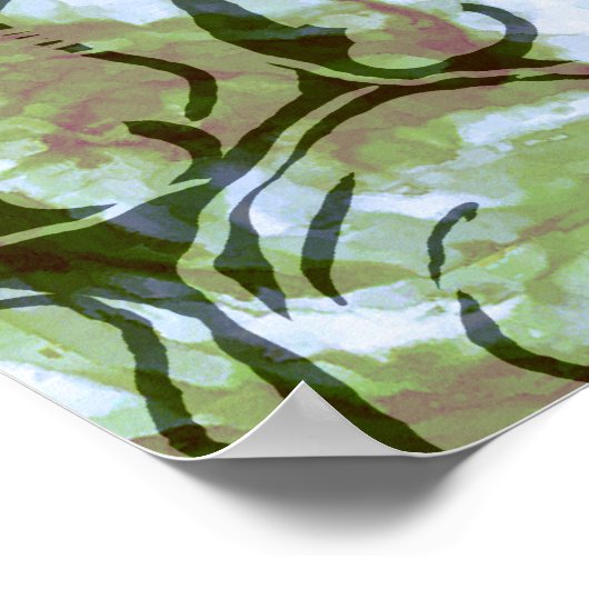 Koi Fish Poster Print (Hoek)