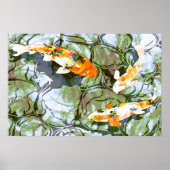 Koi Fish Poster Print (Voorkant)