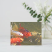 Koi fish v.1 briefkaart (Staand voorkant)
