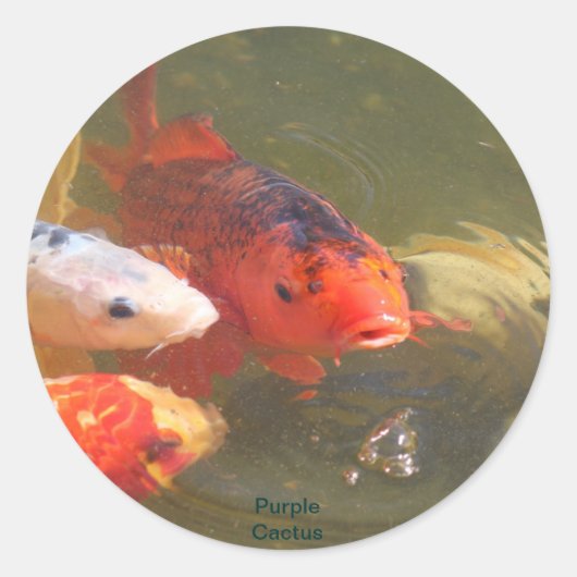 Koi Fish v.1 Ronde Sticker (Voorkant)