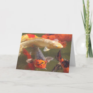 Koi fish v.2 kaart