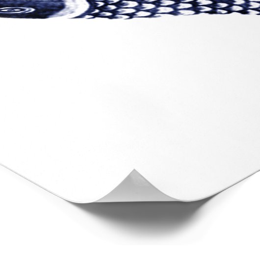 Koi Flags Poster (Hoek)