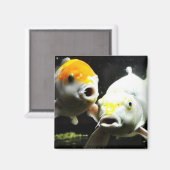 Koi Fotografie Magneet (Voorkant / Achterkant)