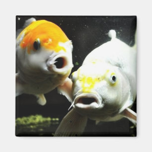Koi-fotografie Magneet