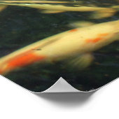 Koi Impressions Poster (Hoek)