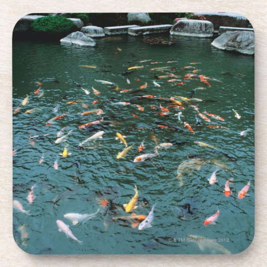 Koi in een Pond Onderzetter (Voorkant)