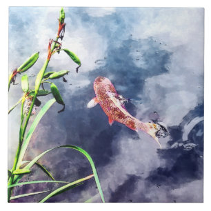 Koi in zwemwater tegeltje