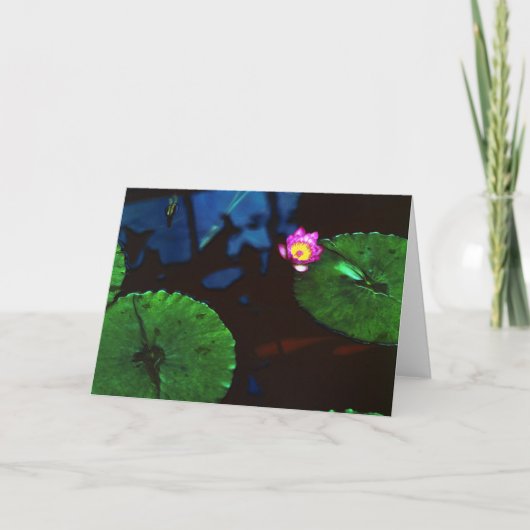 Koi Kaart (Voorkant)