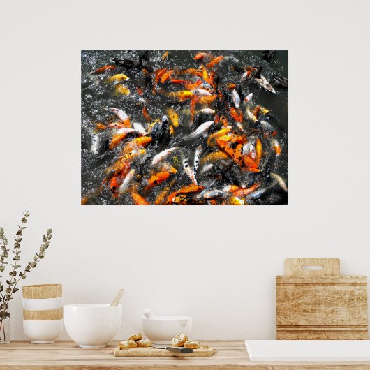 Koi karper die zich vervoedert poster (Keuken)