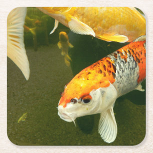 Koi Karper Papier Onderzetter