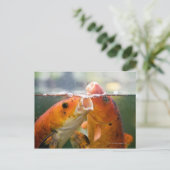 Koi-karpers Briefkaart (Staand voorkant)