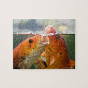 Koi-karpers Legpuzzel