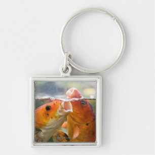 Koi-karpers Sleutelhanger