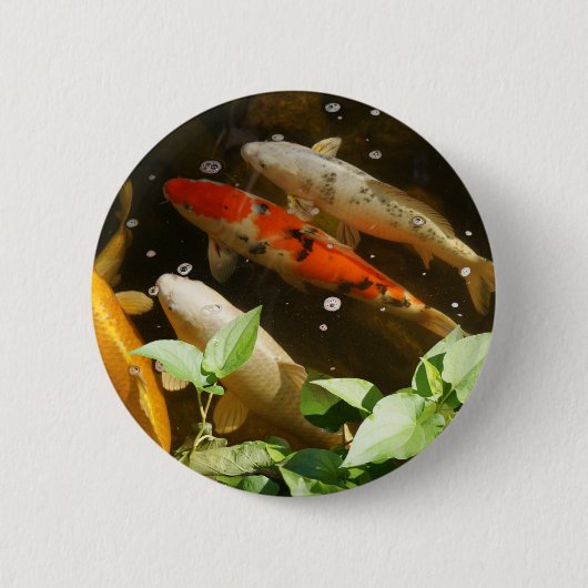 Koi-knop Ronde Button 5,7 Cm (Voorkant)