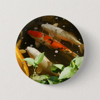 Koi-knop Ronde Button 5,7 Cm