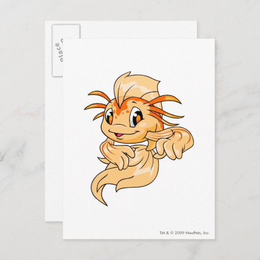 Koi Oranje Briefkaart (Voorkant / Achterkant)