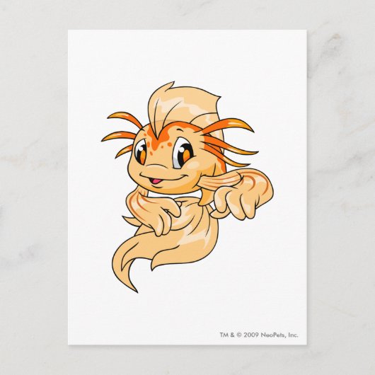 Koi Oranje Briefkaart (Voorkant)